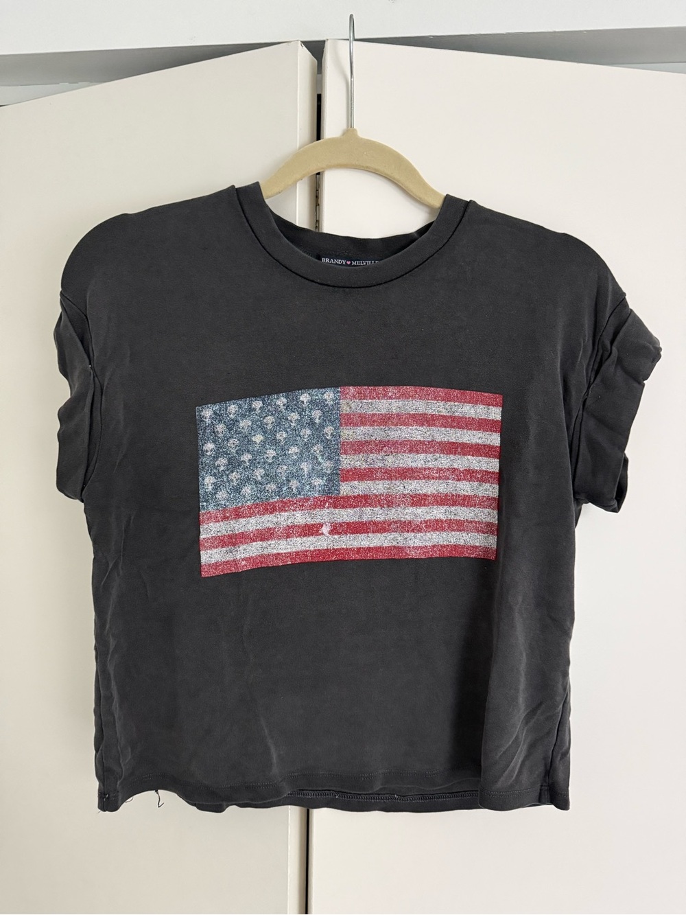 Brandy Melville Distressed Black Graphic Crop Tee